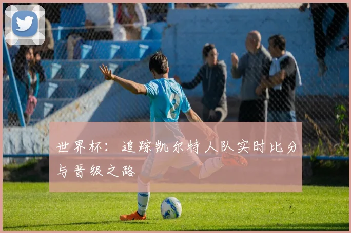世界杯：追踪凯尔特人队实时比分与晋级之路