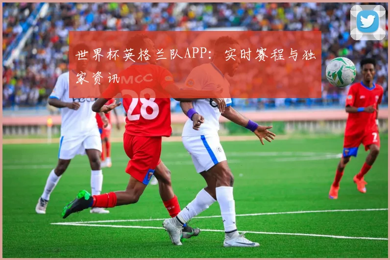世界杯英格兰队APP：实时赛程与独家资讯
