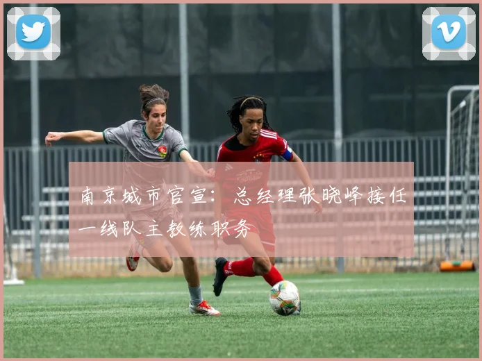 南京城市官宣:总经理张晓峰接任一线队主教练职务