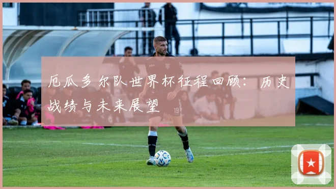 厄瓜多尔队世界杯征程回顾:历史战绩与未来展望